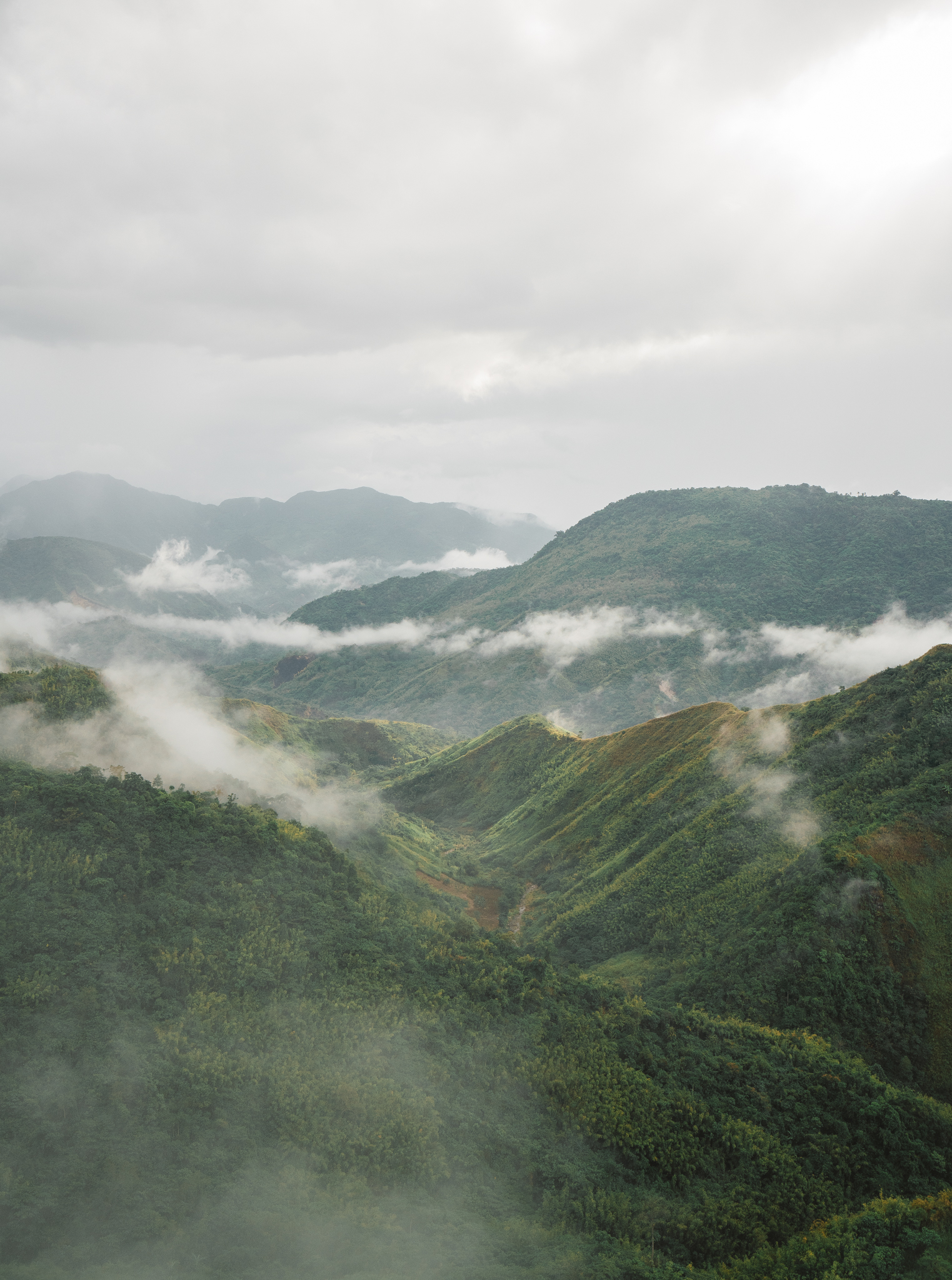 At around 8am, the sea of clouds was starting to clearup. 