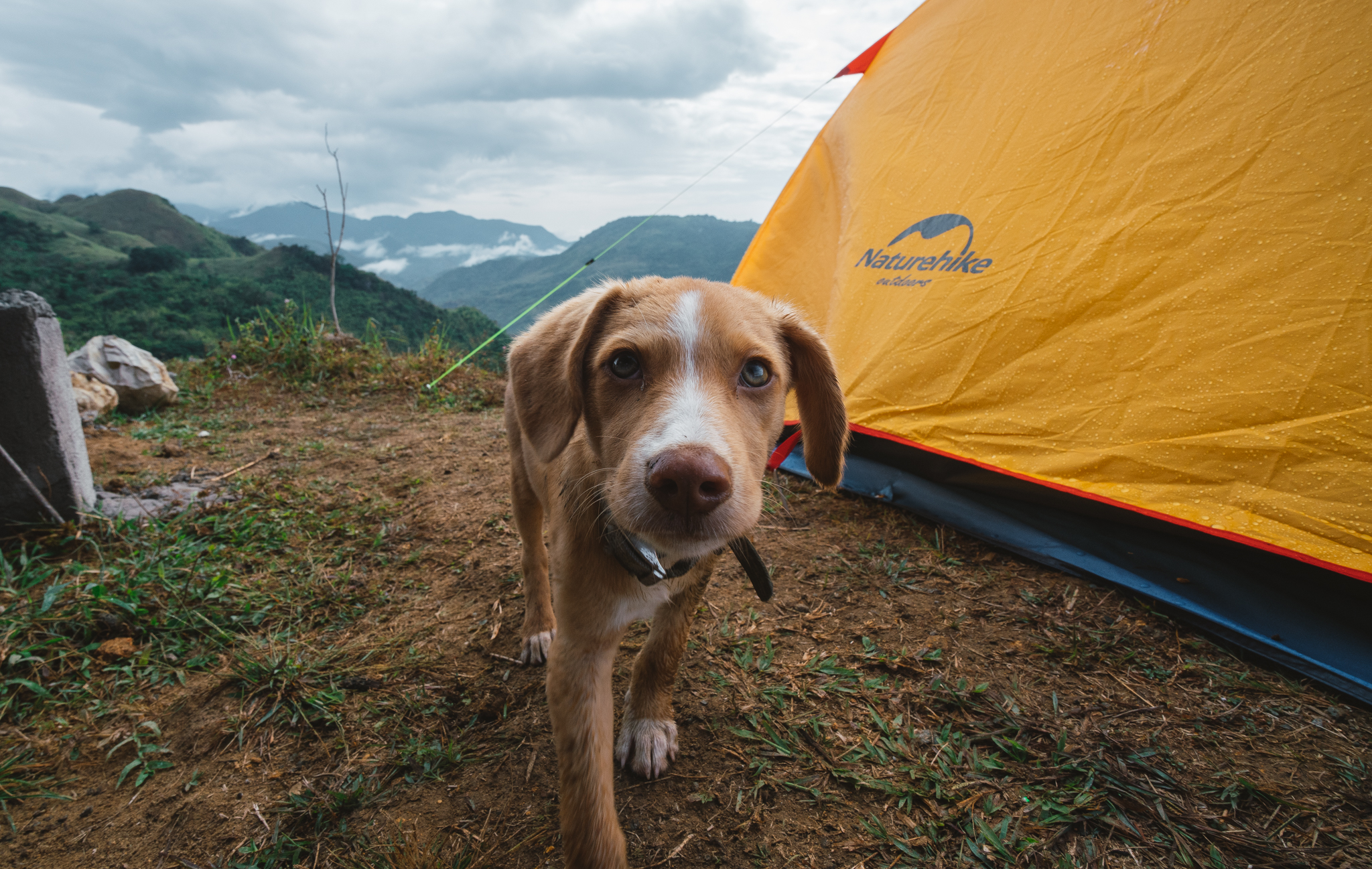 Camping tents were scattered all around.